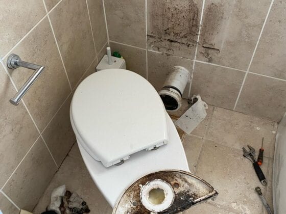 Replacement Toilet Back 3